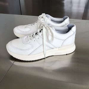 Everlane | The Trainer Sneaker in Off White | EUC